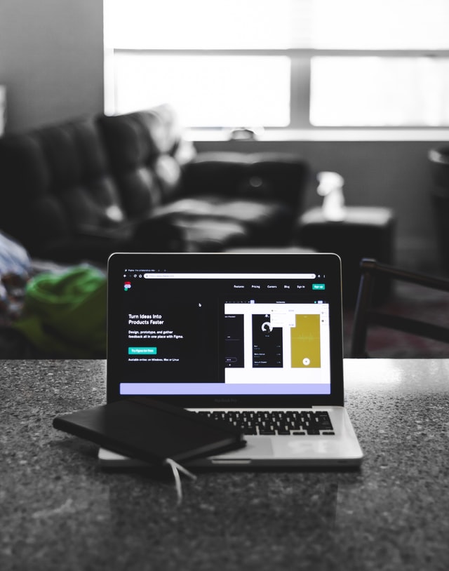 Tristan V - Professional journey